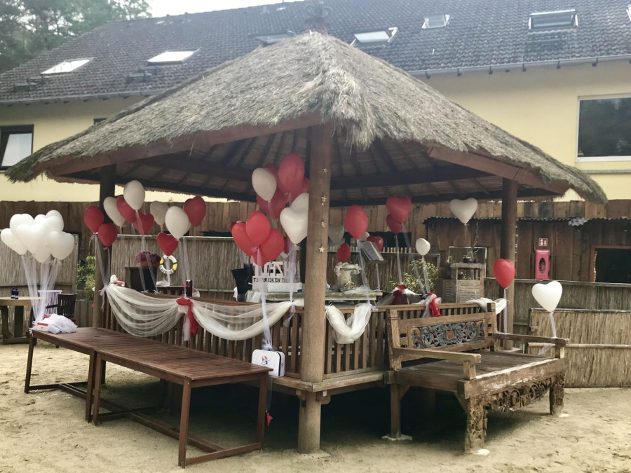 Main image for gallery Hochzeit am Steinhuder Meer