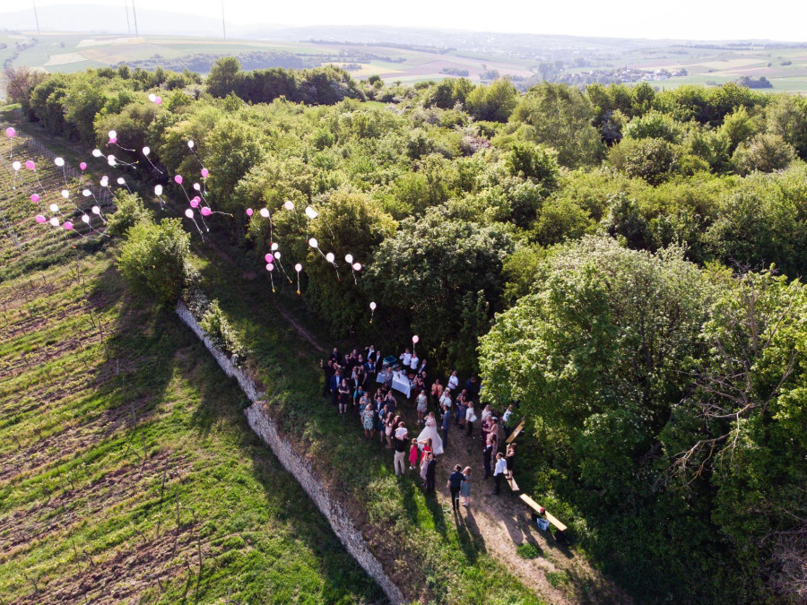 Main image for gallery Weitblick im Weinberg