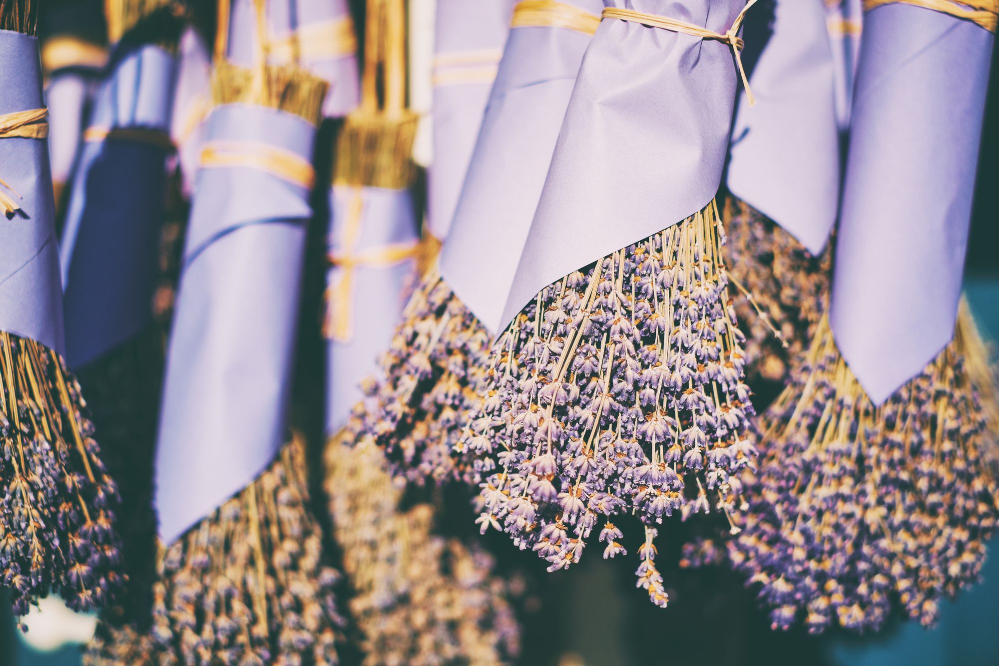 Blumen getrocknet blau