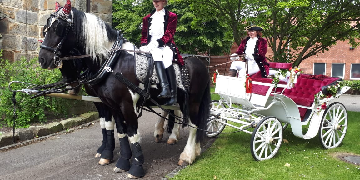 weiße Hochzeitskutsche mit roten Sitzbänken
