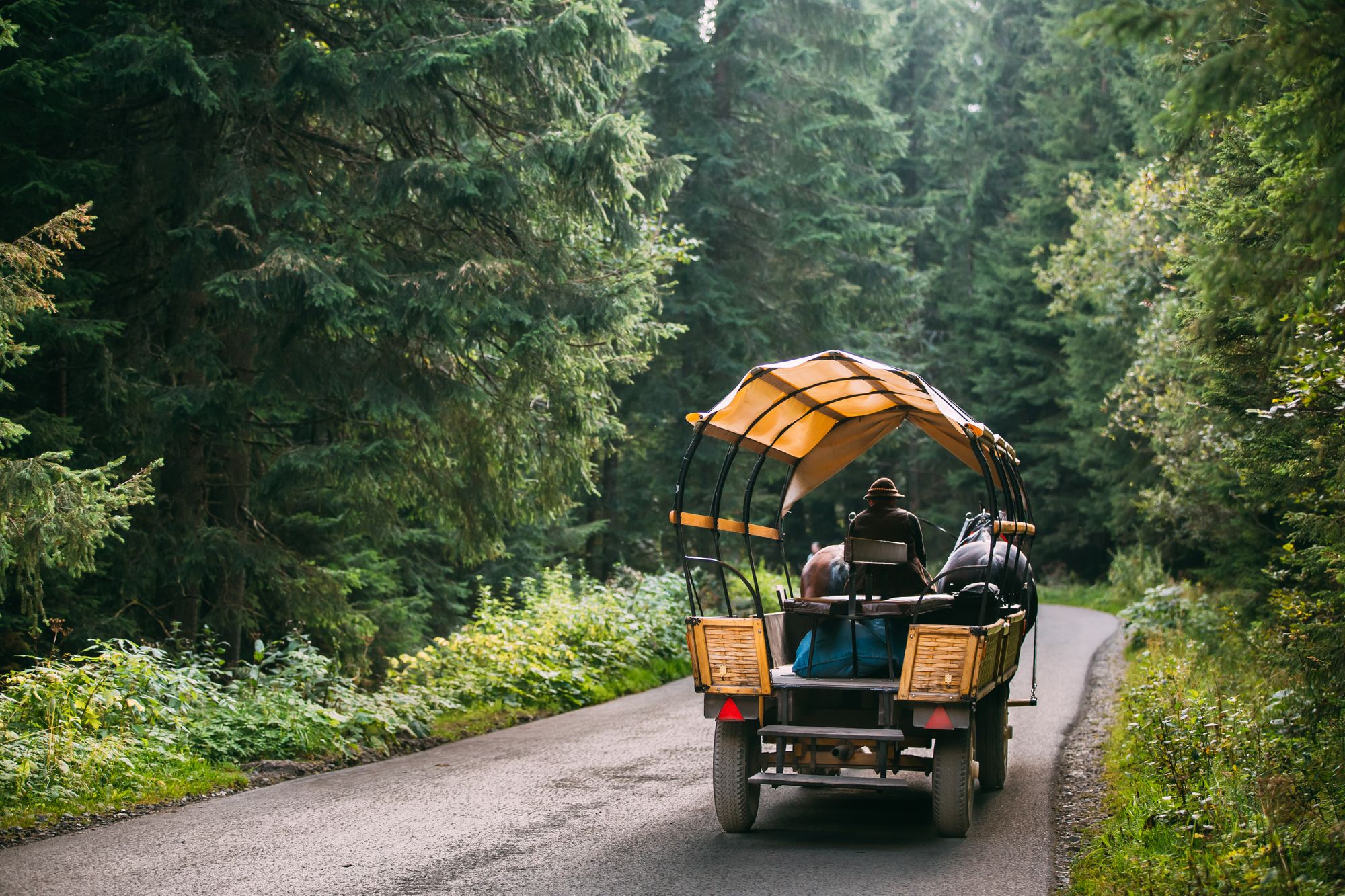 Ein Planwagen im Wald