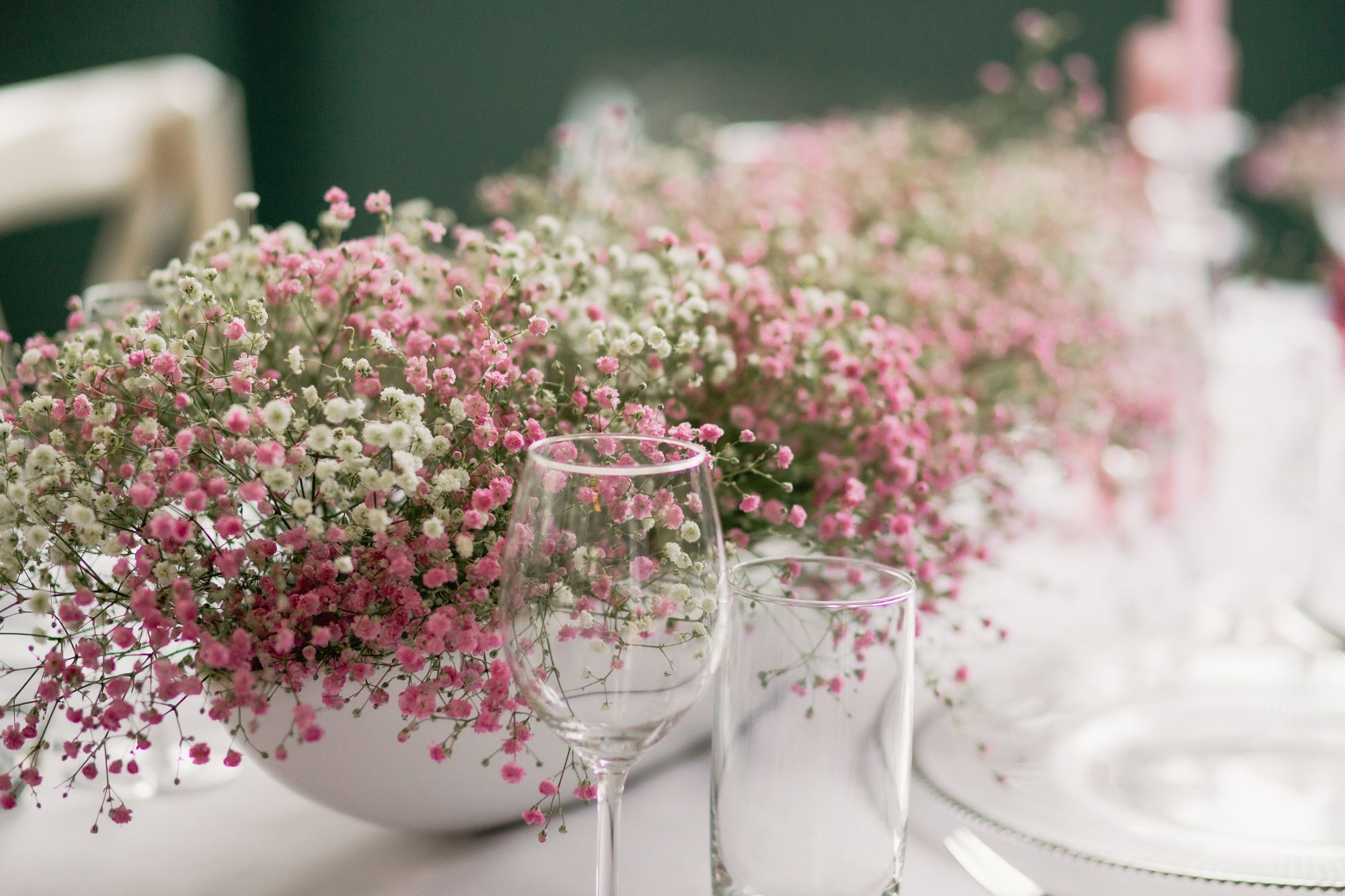 Eine flache Vase ist mit Schleierkraut befüllt