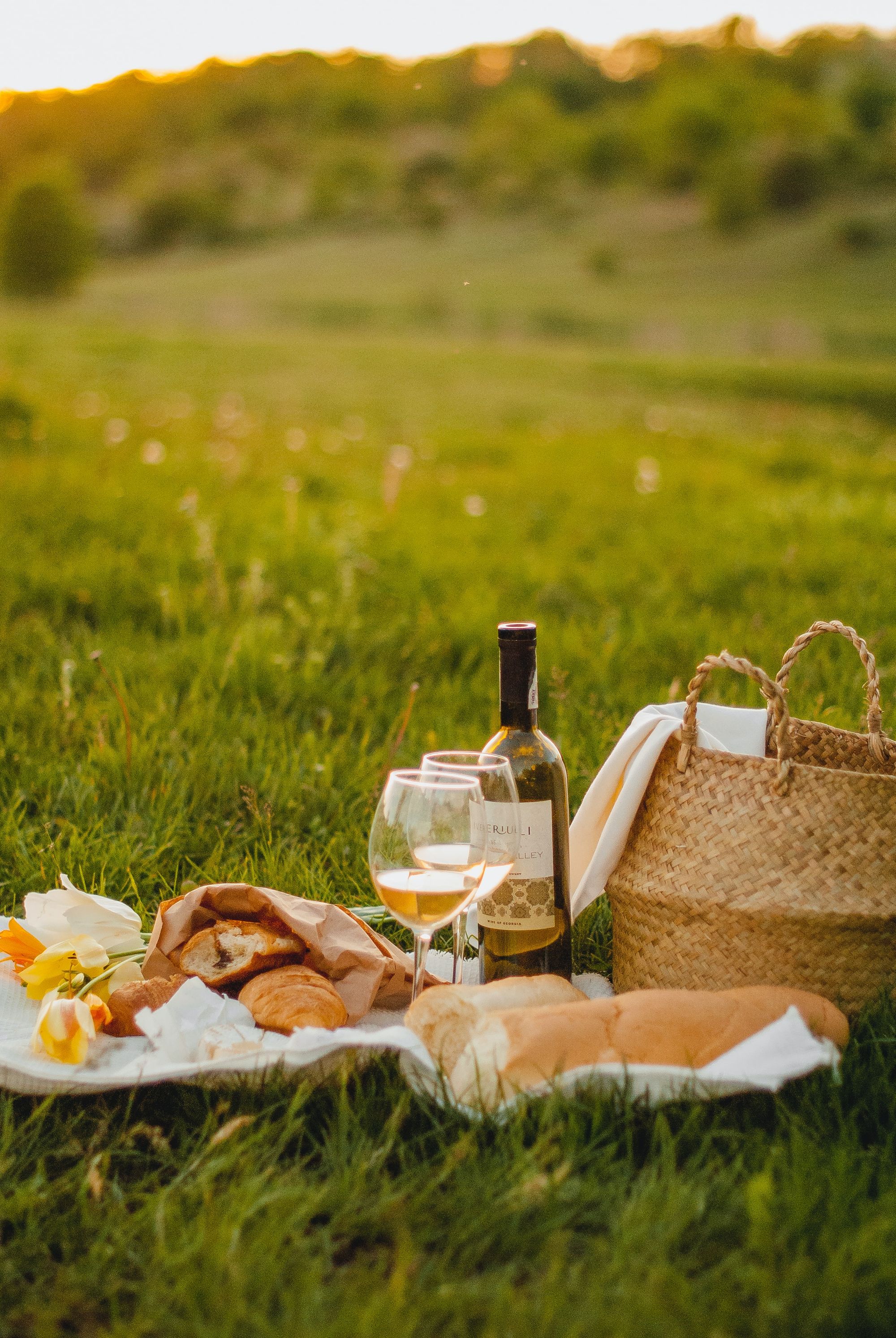 Heiratsantrag bei einem romantischen Picknick
