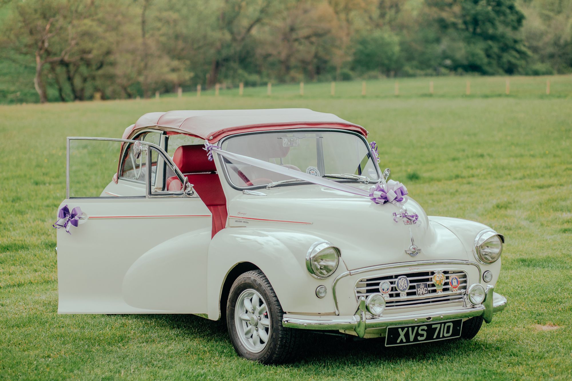 Autoschmuck Hochzeit, Brautauto auf einer Wiese