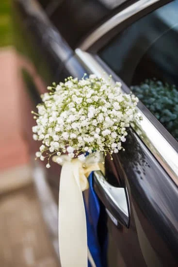 Schleierkraut ist an der Autotür befestigt
