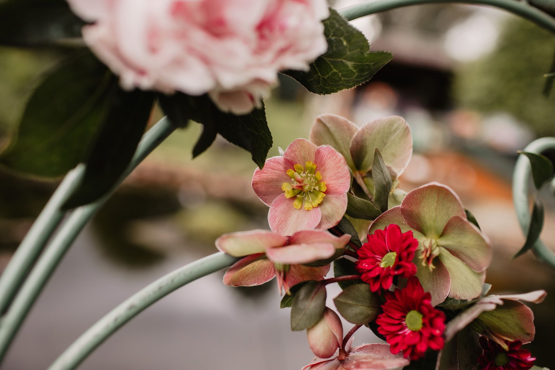 Blumen Details
