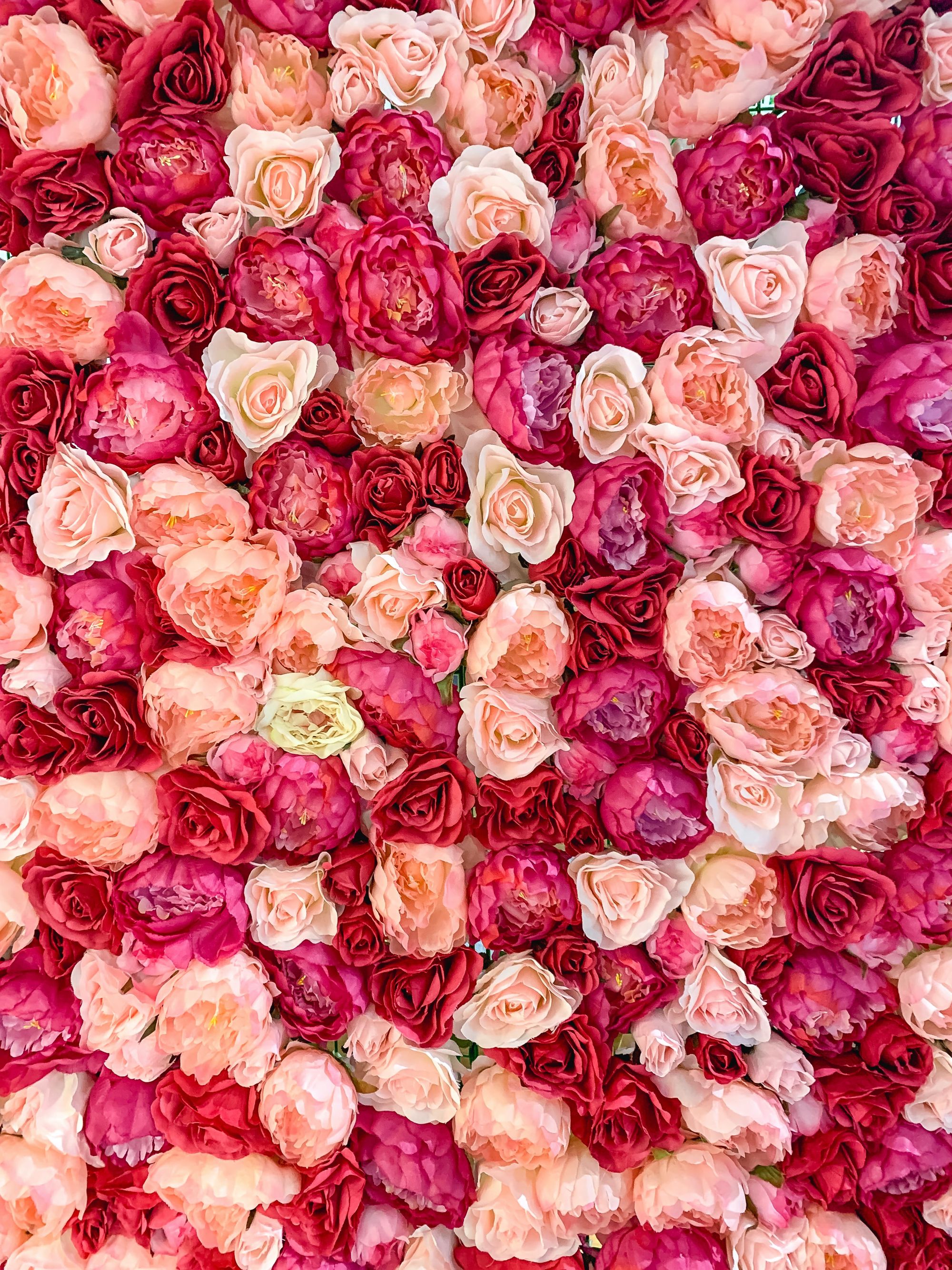 Wedding Wall Rosen in Pinktönen