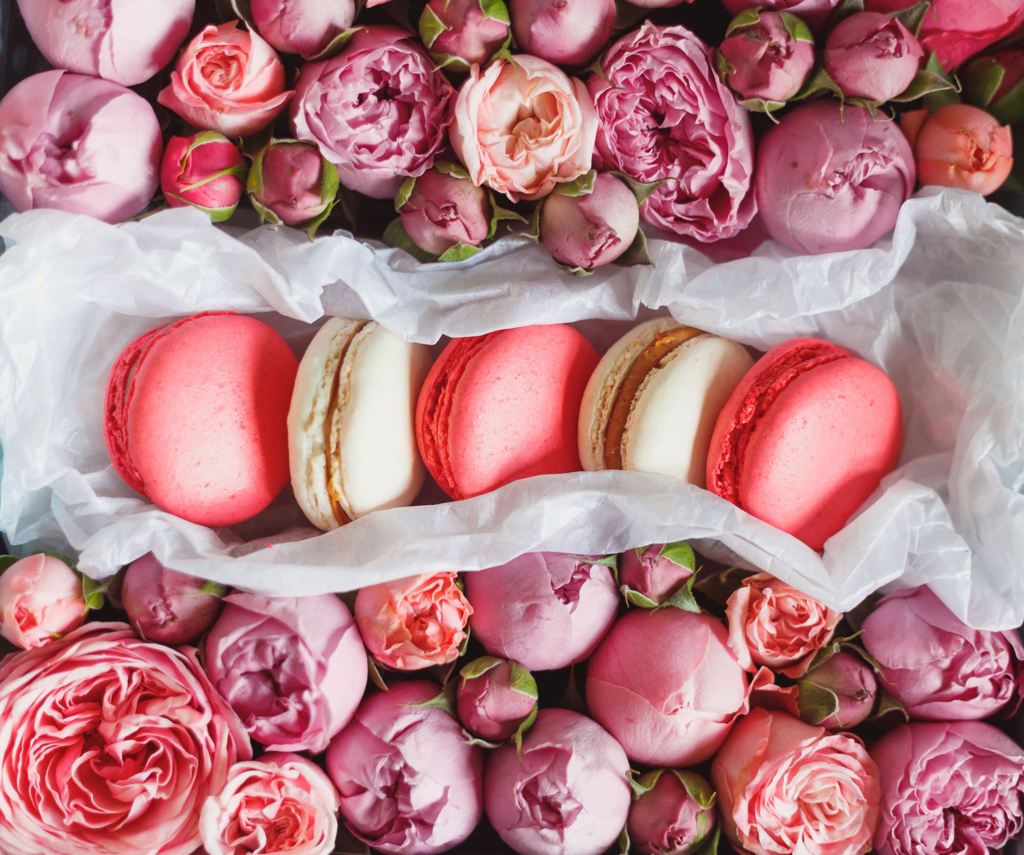 Macarons in Blumenbett