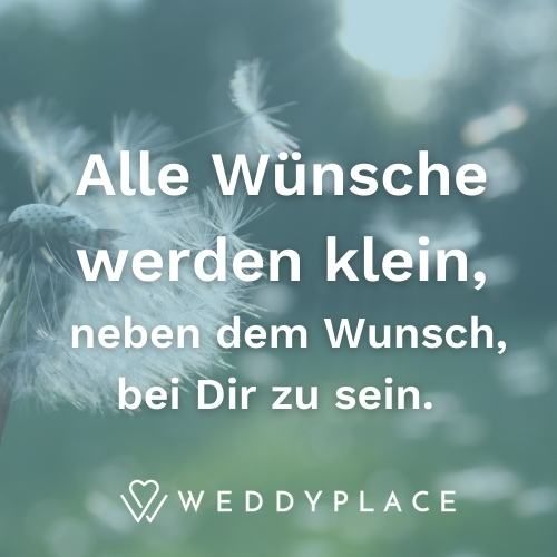 154 romantische Sprüche Worte mit Liebe WeddyPlace