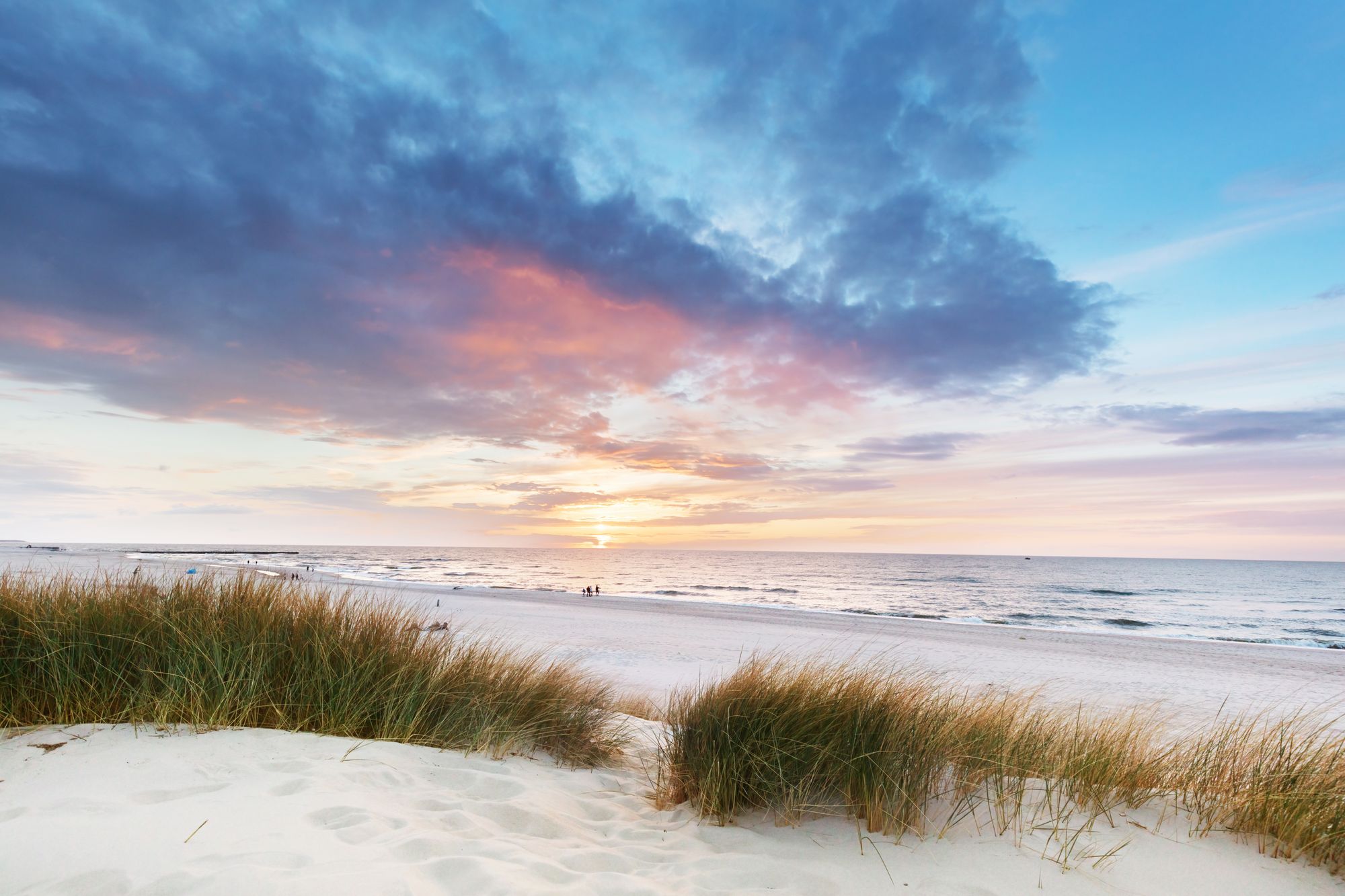 Zwischen den Dünen am Strand