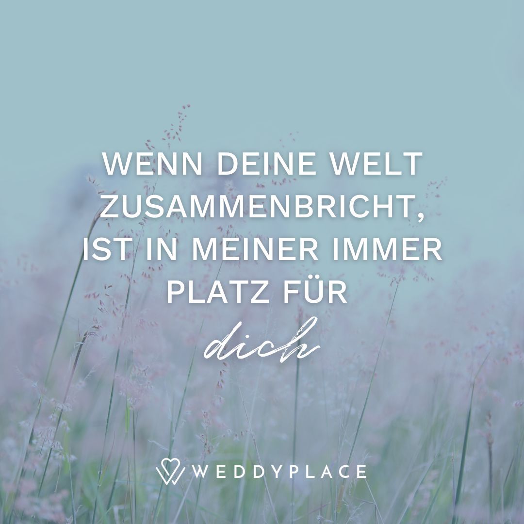 30+ Spruch Freund Bist Dsd Beste, „freundschaft ist wie eine blume.