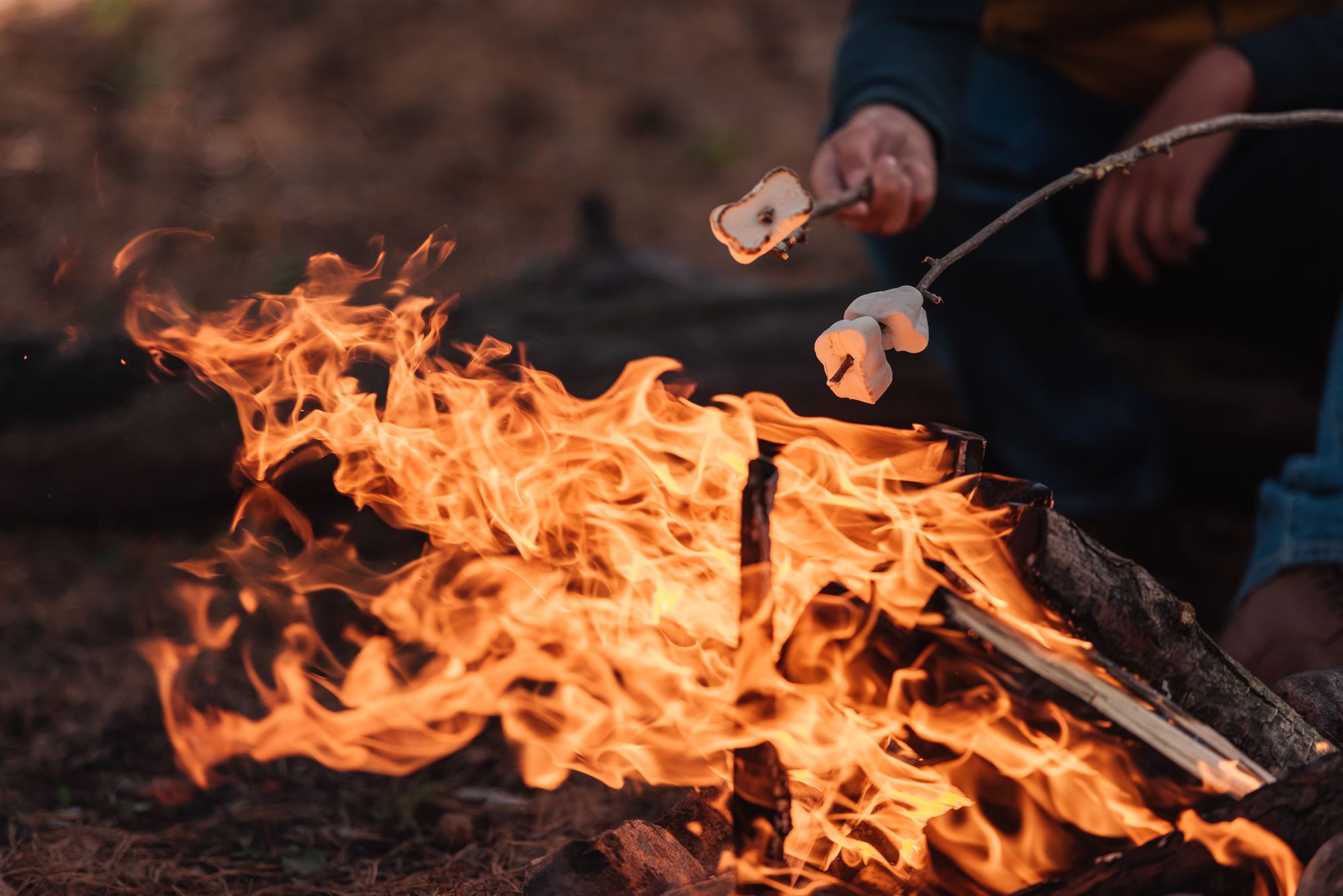 Bitte keine Art von offenem Feuer bei Waldhochzeiten
