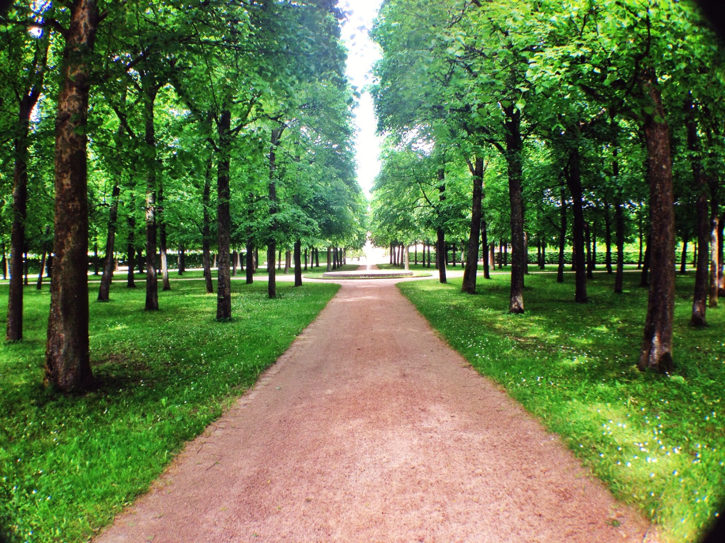 Hochzeitsfotografen in Magdeburg